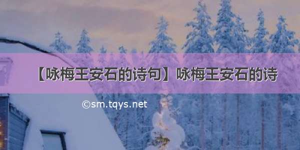 【咏梅王安石的诗句】咏梅王安石的诗