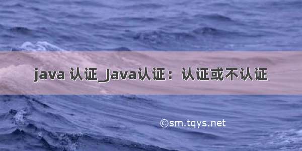 java 认证_Java认证：认证或不认证