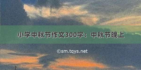 小学中秋节作文300字：中秋节晚上