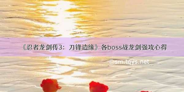 《忍者龙剑传3：刀锋边缘》各boss战龙剑强攻心得