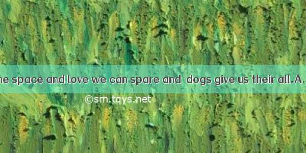 We give dogs time space and love we can spare and  dogs give us their all.A. in all　　　B. i
