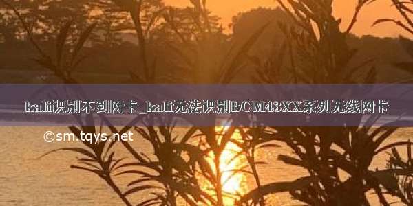 kali识别不到网卡_kali无法识别BCM43XX系列无线网卡