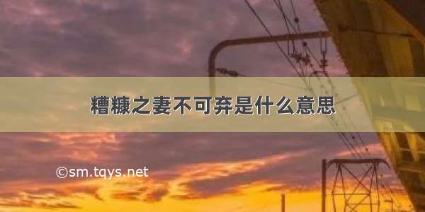 糟糠之妻不可弃是什么意思