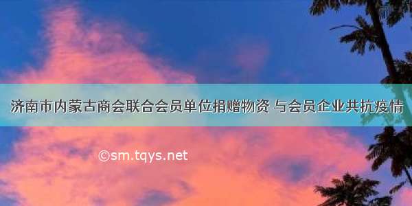 济南市内蒙古商会联合会员单位捐赠物资 与会员企业共抗疫情