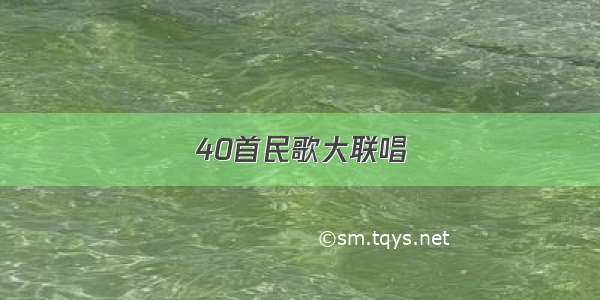 40首民歌大联唱