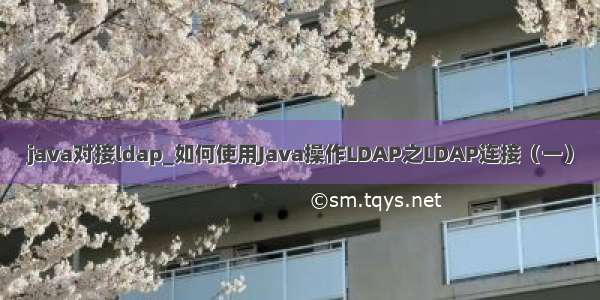 java对接ldap_如何使用Java操作LDAP之LDAP连接（一）