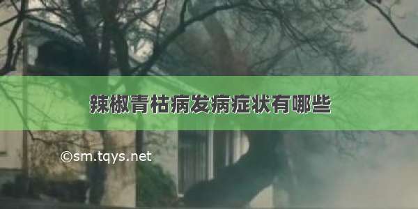 辣椒青枯病发病症状有哪些