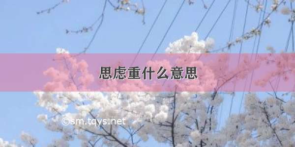 思虑重什么意思