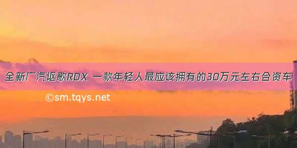 全新广汽讴歌RDX 一款年轻人最应该拥有的30万元左右合资车