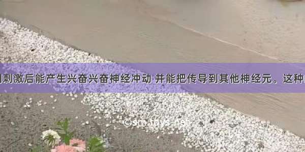 神经元受到刺激后能产生兴奋兴奋神经冲动 并能把　传导到其他神经元。这种能传导的兴