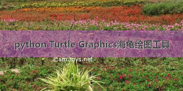 python Turtle Graphics海龟绘图工具