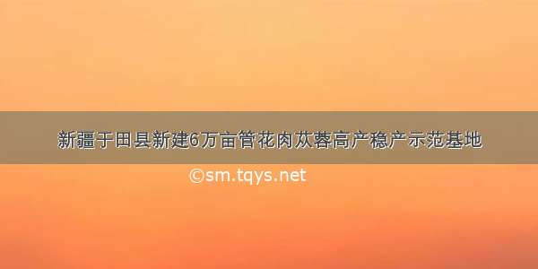 新疆于田县新建6万亩管花肉苁蓉高产稳产示范基地