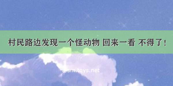 村民路边发现一个怪动物 回来一看 不得了！