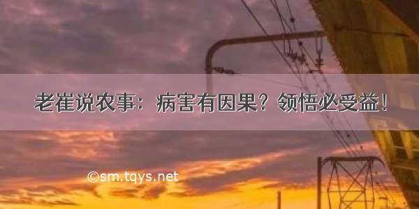 老崔说农事：病害有因果？领悟必受益！