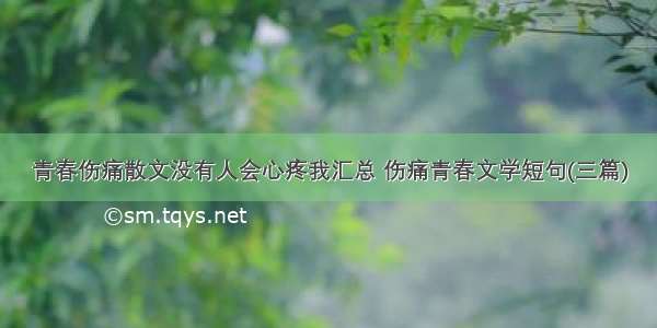 青春伤痛散文没有人会心疼我汇总 伤痛青春文学短句(三篇)