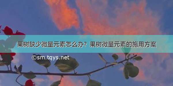 果树缺少微量元素怎么办？果树微量元素的施用方案