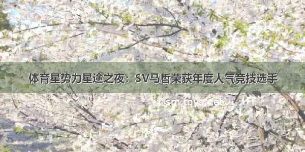 体育星势力星途之夜：SV马哲荣获年度人气竞技选手