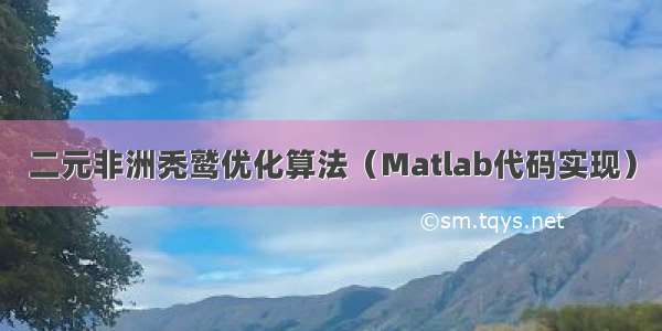 二元非洲秃鹫优化算法（Matlab代码实现）