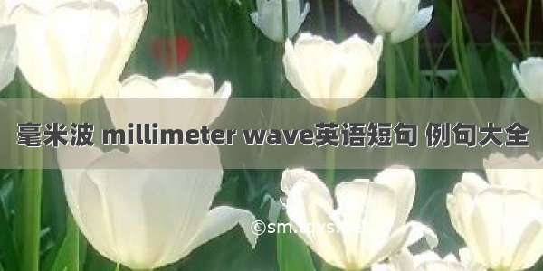 毫米波 millimeter wave英语短句 例句大全