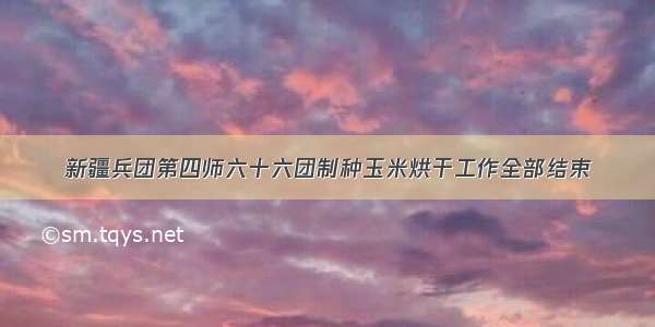 新疆兵团第四师六十六团制种玉米烘干工作全部结束