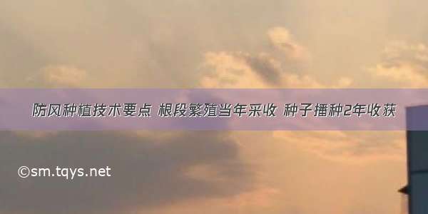 防风种植技术要点 根段繁殖当年采收 种子播种2年收获