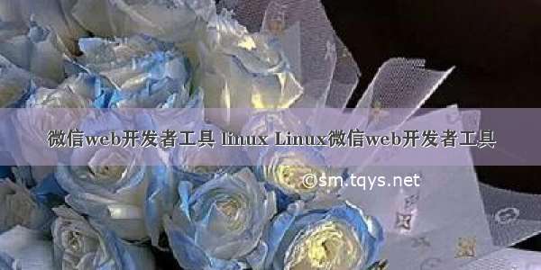 微信web开发者工具 linux Linux微信web开发者工具