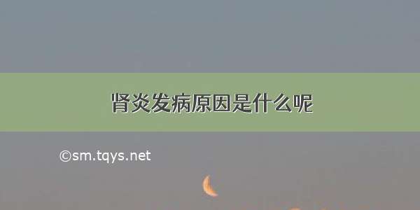 肾炎发病原因是什么呢