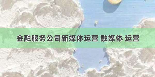 金融服务公司新媒体运营 融媒体 运营