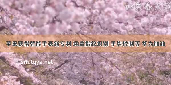 苹果获得智能手表新专利 涵盖指纹识别 手势控制等 华为加油