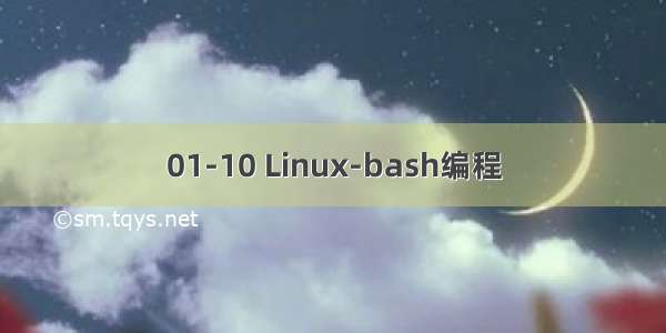 01-10 Linux-bash编程