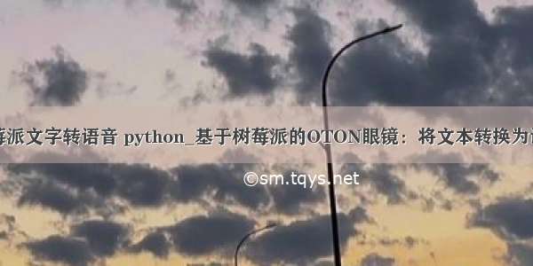 树莓派文字转语音 python_基于树莓派的OTON眼镜：将文本转换为语音