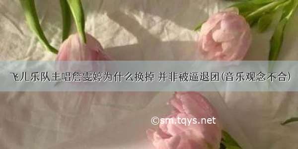 飞儿乐队主唱詹雯婷为什么换掉 并非被逼退团(音乐观念不合)