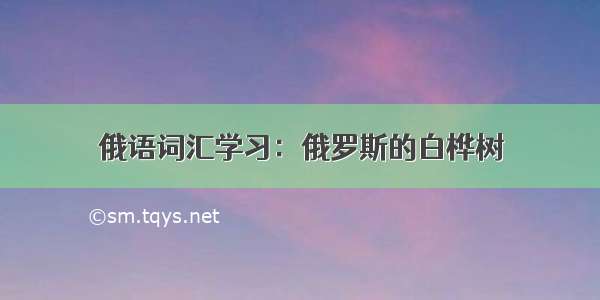 俄语词汇学习：俄罗斯的白桦树