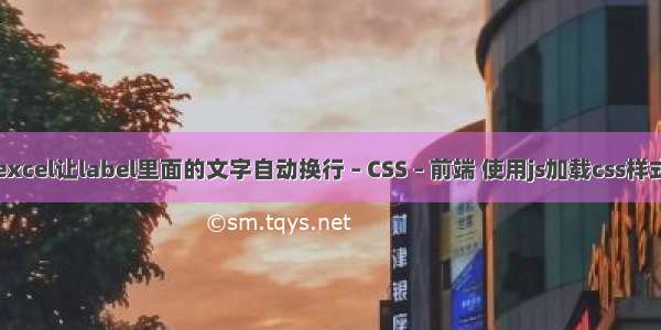 excel让label里面的文字自动换行 – CSS – 前端 使用js加载css样式