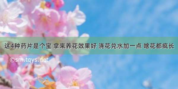 这4种药片是个宝 拿来养花效果好 浇花兑水加一点 啥花都疯长