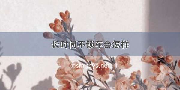 长时间不锁车会怎样