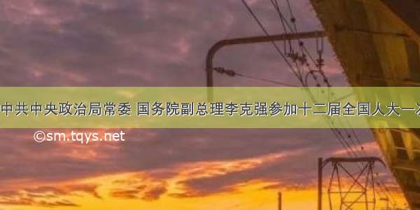 3月6日 中共中央政治局常委 国务院副总理李克强参加十二届全国人大一次会议湖