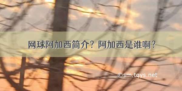 网球阿加西简介？阿加西是谁啊？