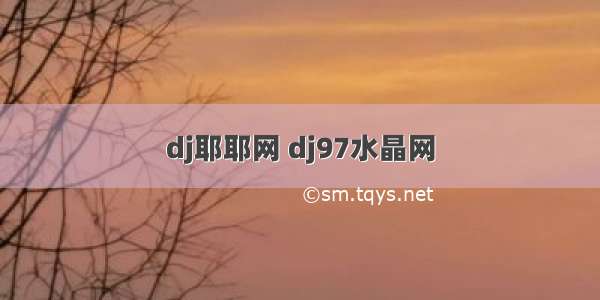 dj耶耶网 dj97水晶网