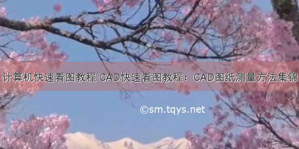 计算机快速看图教程 CAD快速看图教程：CAD图纸测量方法集锦