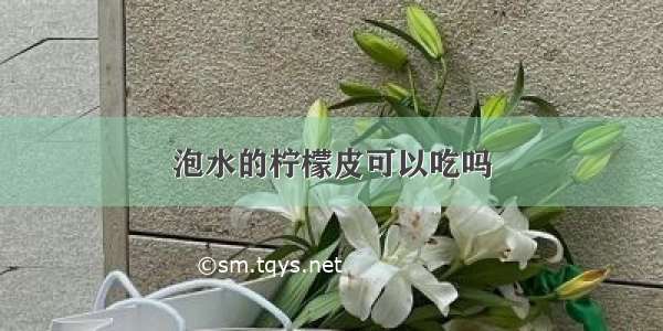 泡水的柠檬皮可以吃吗