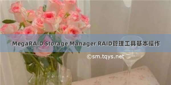 MegaRAID Storage Manager RAID管理工具基本操作