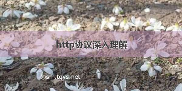 http协议深入理解