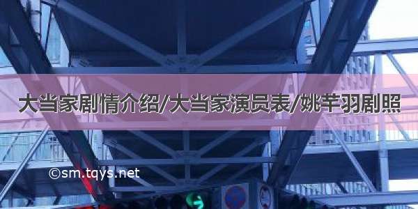 大当家剧情介绍/大当家演员表/姚芊羽剧照