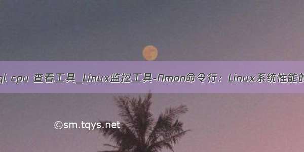 linux mysql cpu 查看工具_Linux监控工具-Nmon命令行：Linux系统性能的监测利器