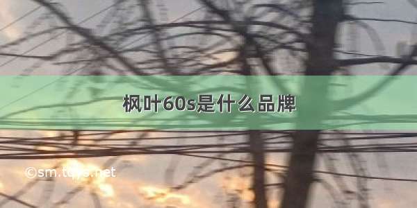 枫叶60s是什么品牌