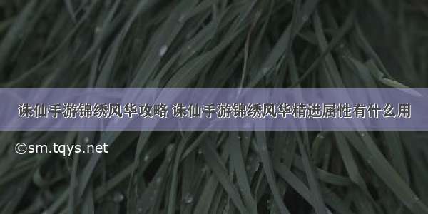 诛仙手游锦绣风华攻略 诛仙手游锦绣风华精进属性有什么用