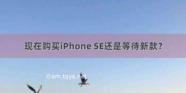 现在购买iPhone SE还是等待新款？