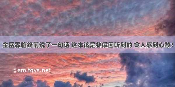 金岳霖临终前说了一句话 这本该是林徽因听到的 令人感到心酸！