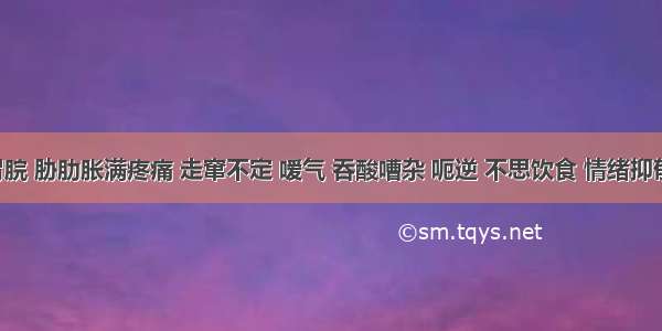 患者胃脘 胁肋胀满疼痛 走窜不定 嗳气 吞酸嘈杂 呃逆 不思饮食 情绪抑郁 善太